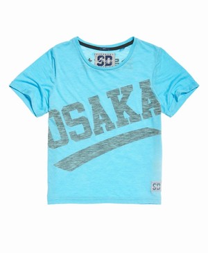 Superdry Osaka 6 Fluro Boxy Női Pólók Kék | PJEOQ6531